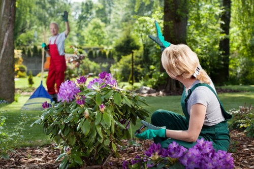 Professional garden clearance team at work in Hornsey
